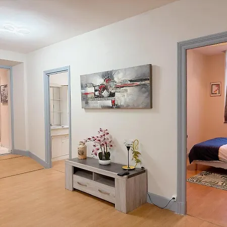 Cozy Apartment, Gym, Heart Of Cite Apartment Carcassonne